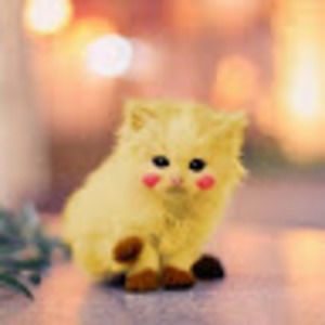 Meet your Posher, Joan